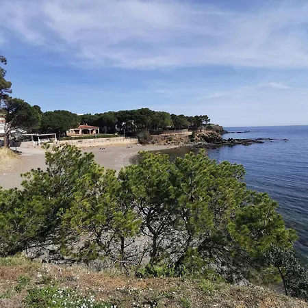Daire Ideal En Llanca: Terraza, Parking Y Cerca De La Playa - Es-89-87 *